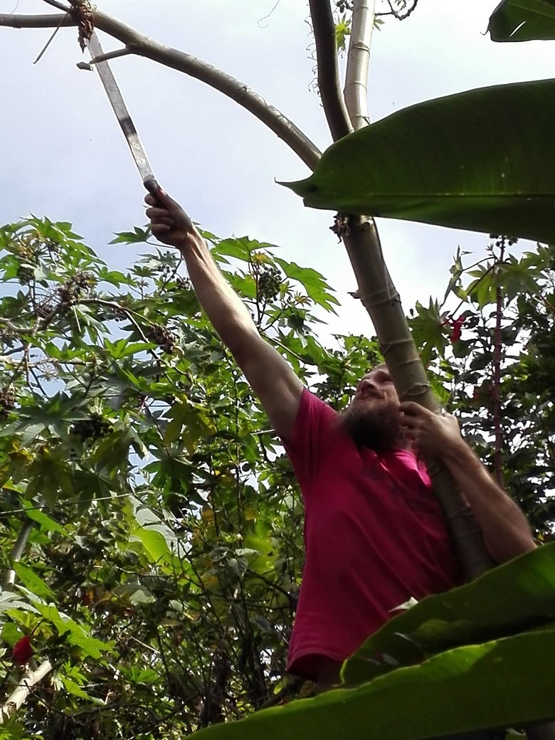 Reach for your Goals!.jpg