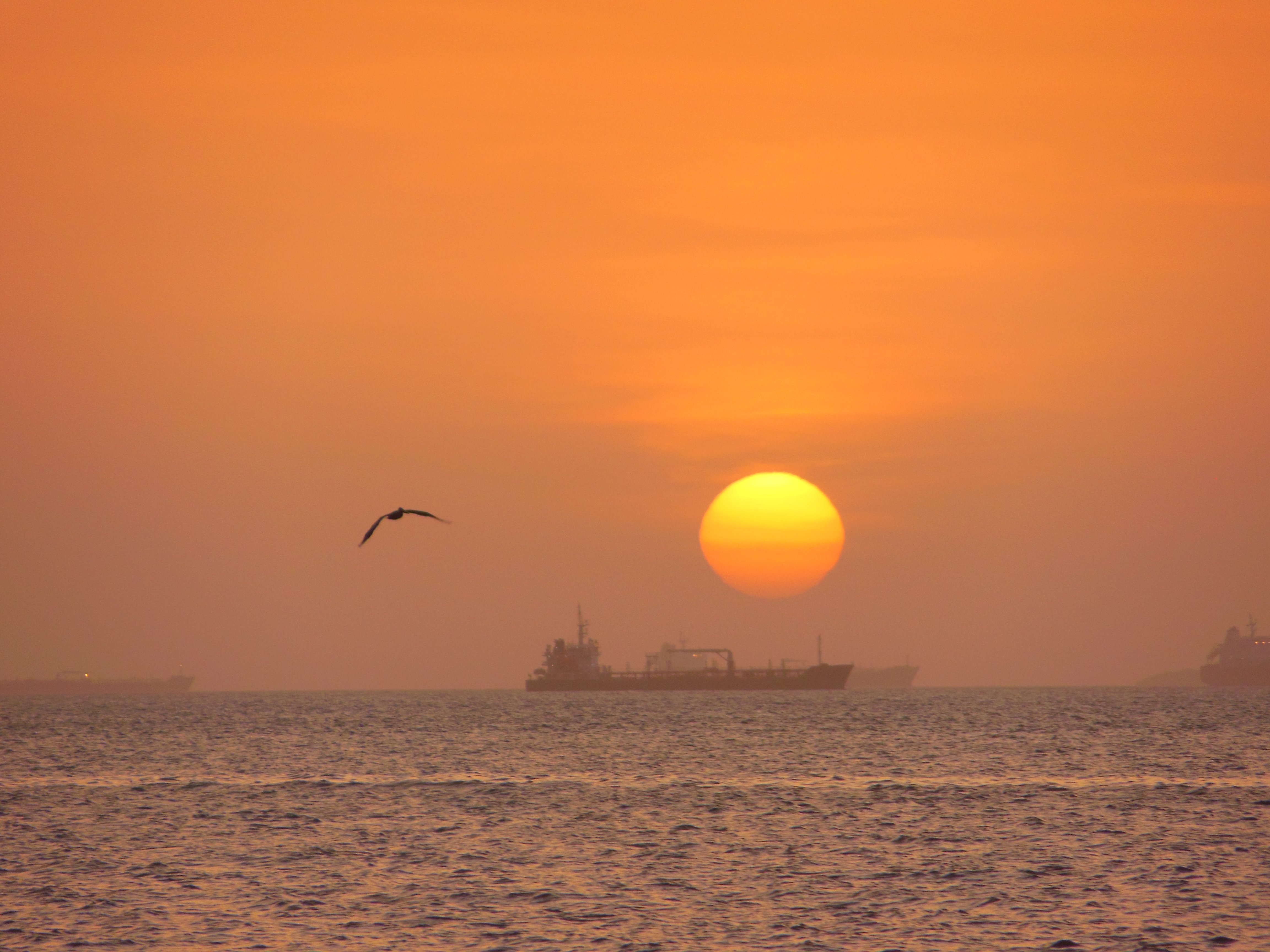 DSCN9312.JPG