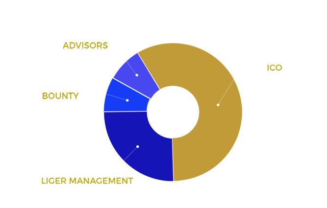 token allocation.png