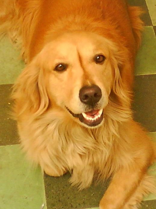 DSC00040_001.jpg