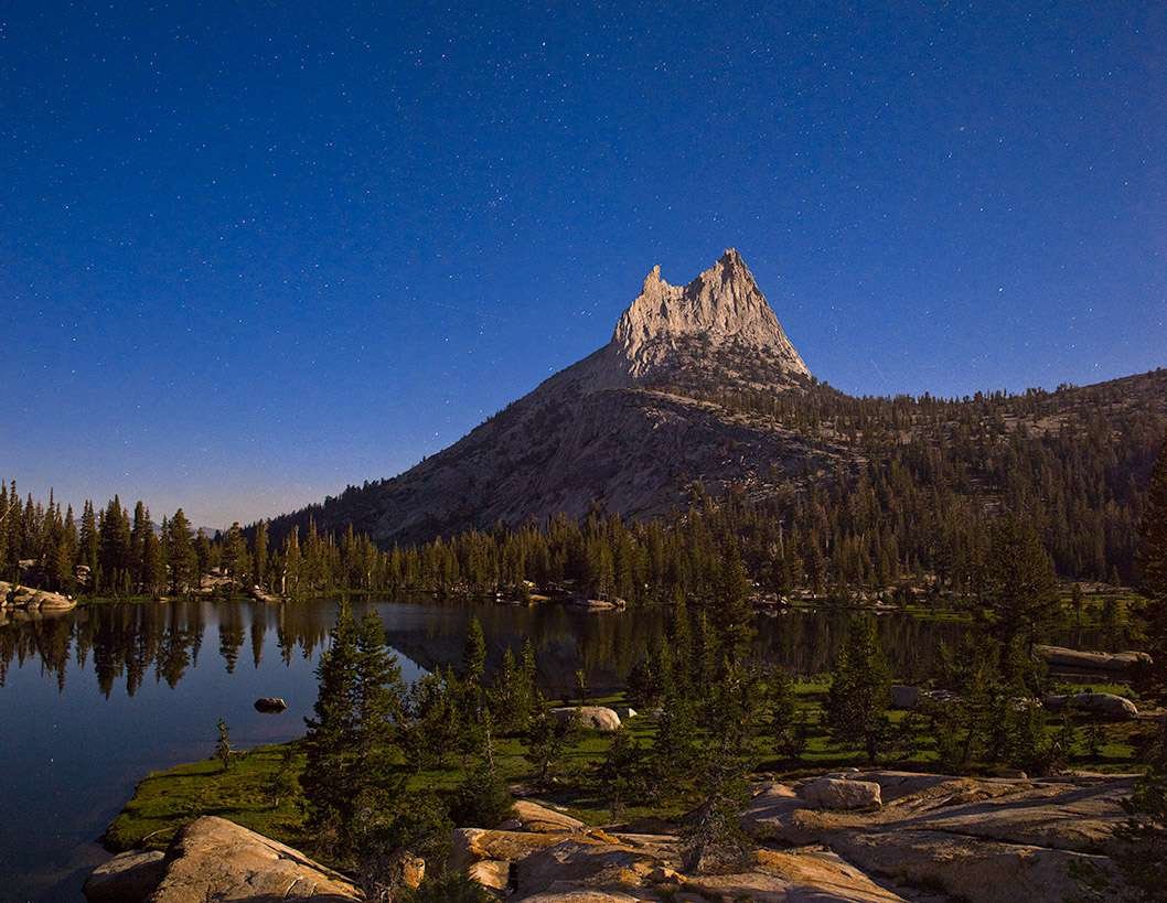 Moonlit Cathedral