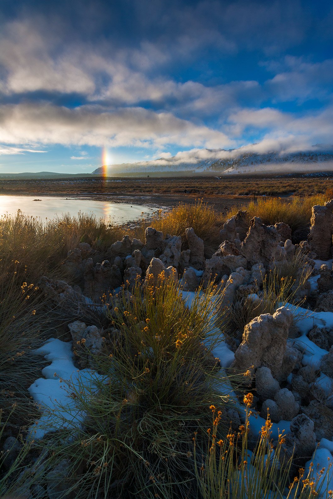 Sun Dog and Sage Bush