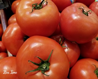 tomatoes2.jpg