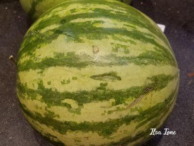 watermelon.jpg