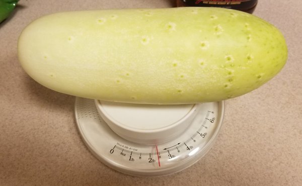 20180814_200351.jpg
