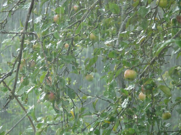 downpour-8821_1920.jpg