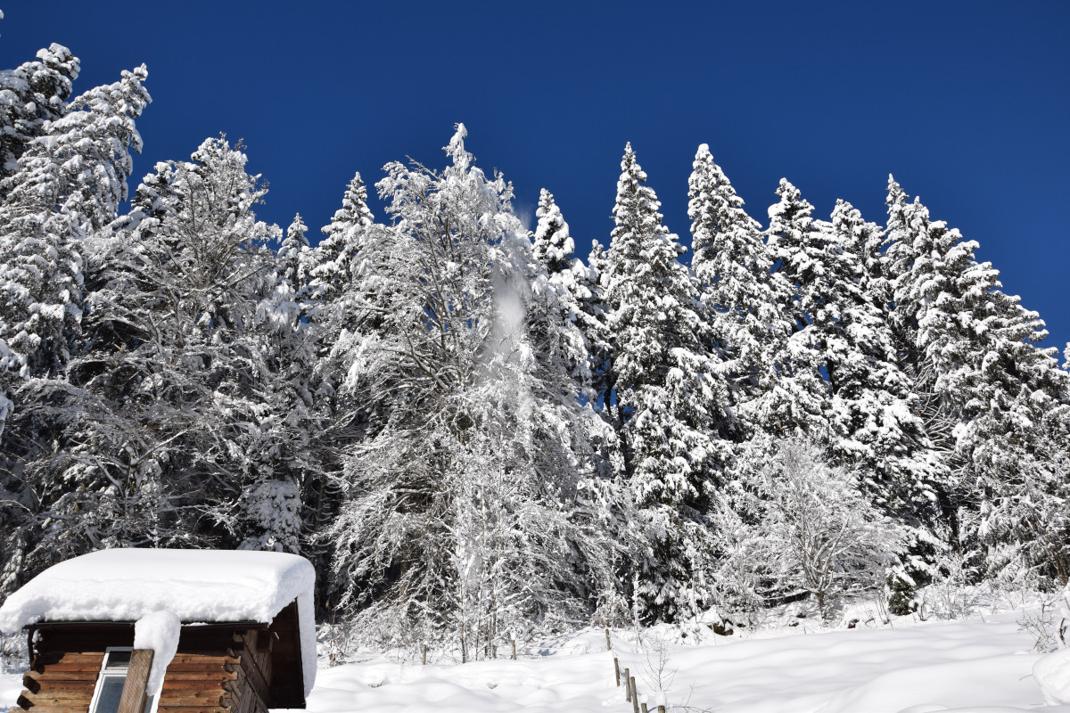DSC_0028_1.JPG