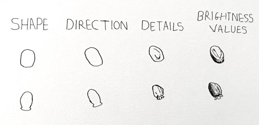 shape-and-direction.jpg
