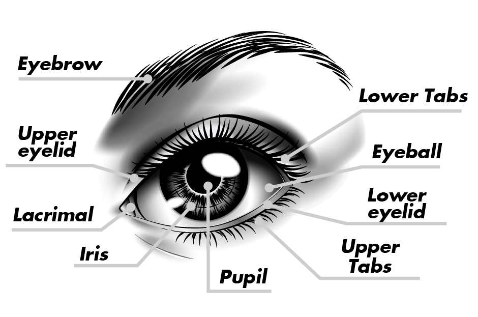 Ojos-1.png