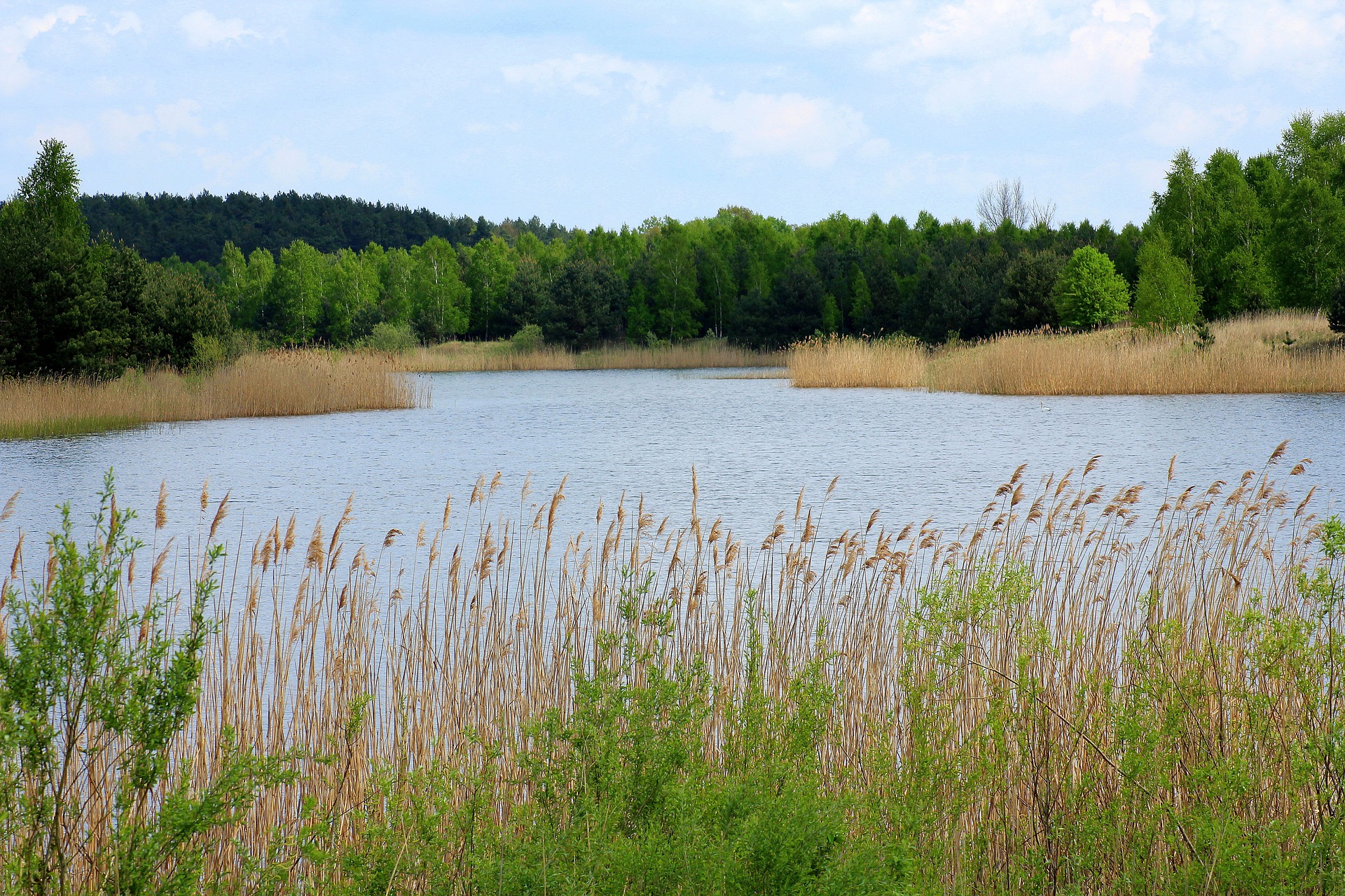 lagoon-3357987_1920.jpg