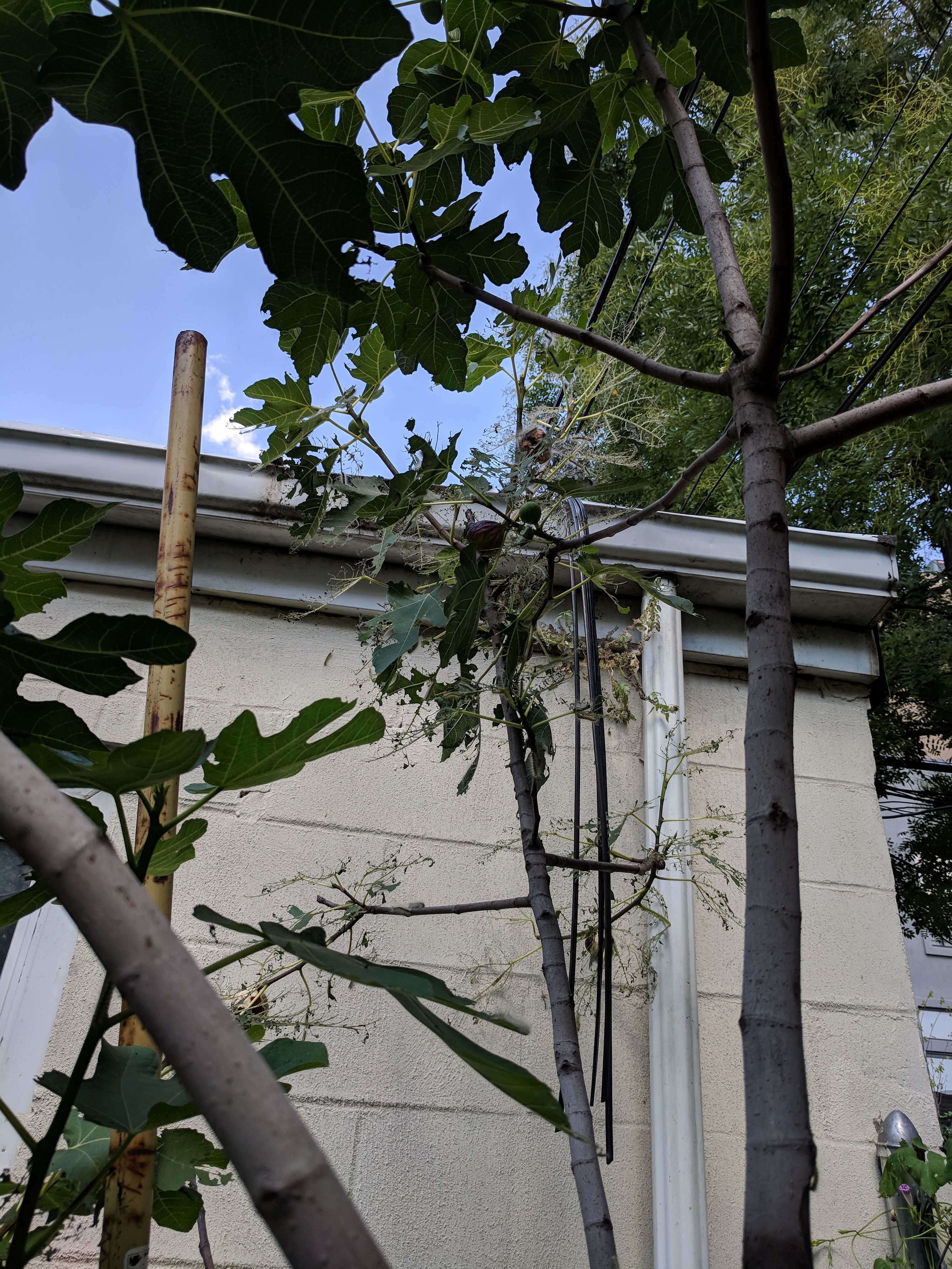 IMG_20180906_130717.jpg