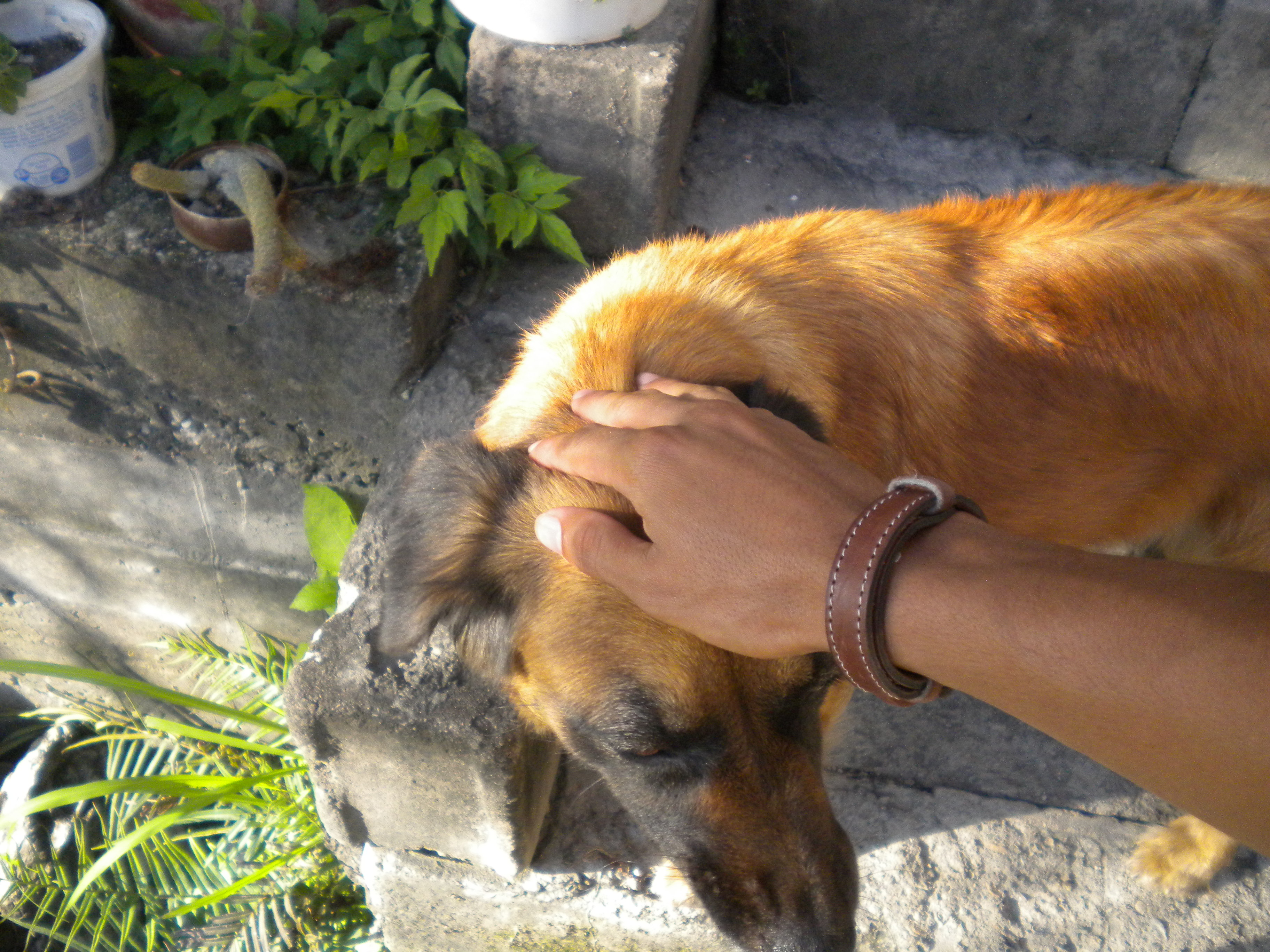 DSCN3328.JPG