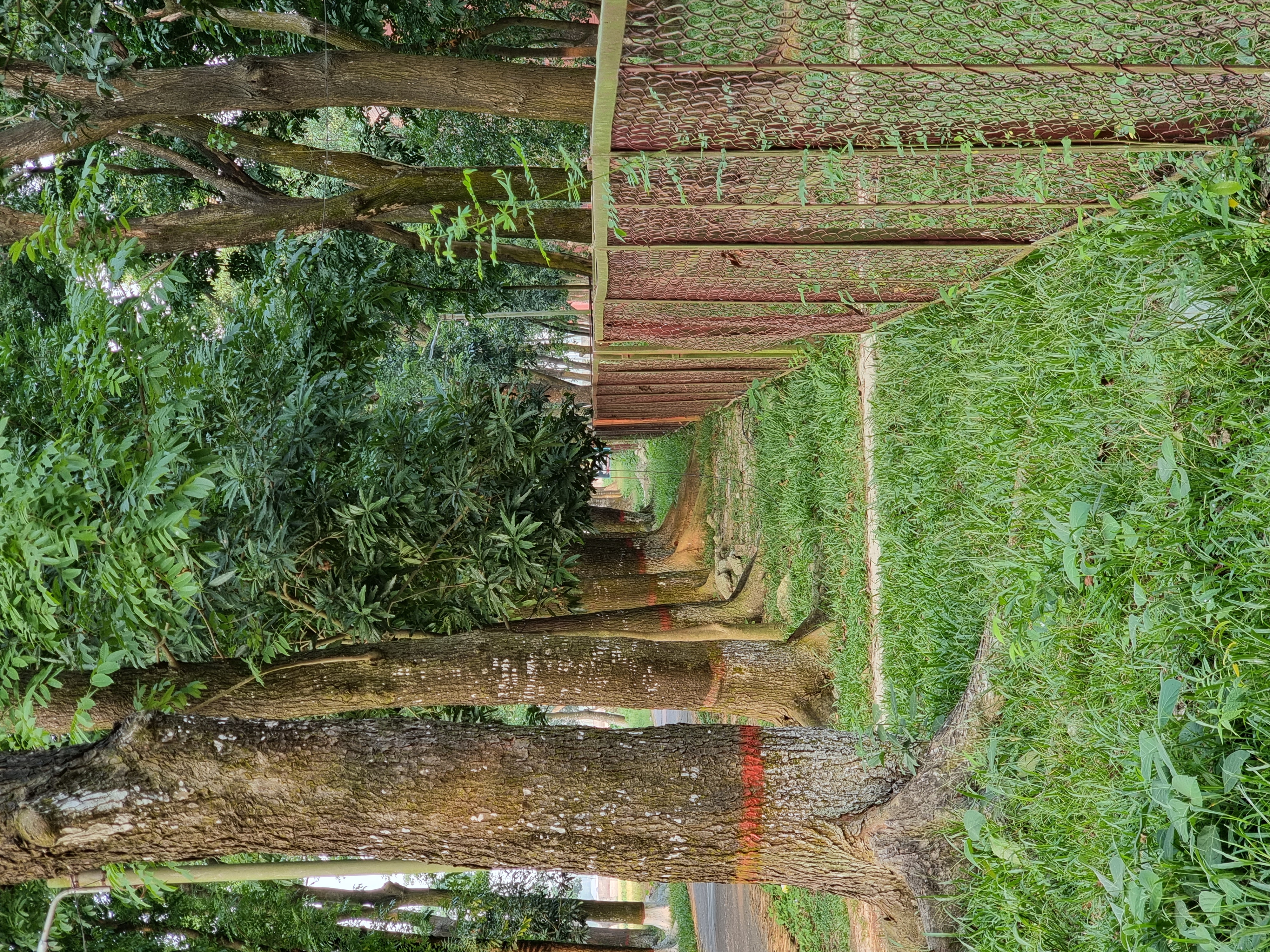 20220602_173234.jpg
