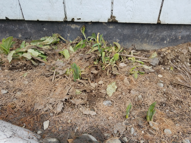 20190326_164928_3.jpg