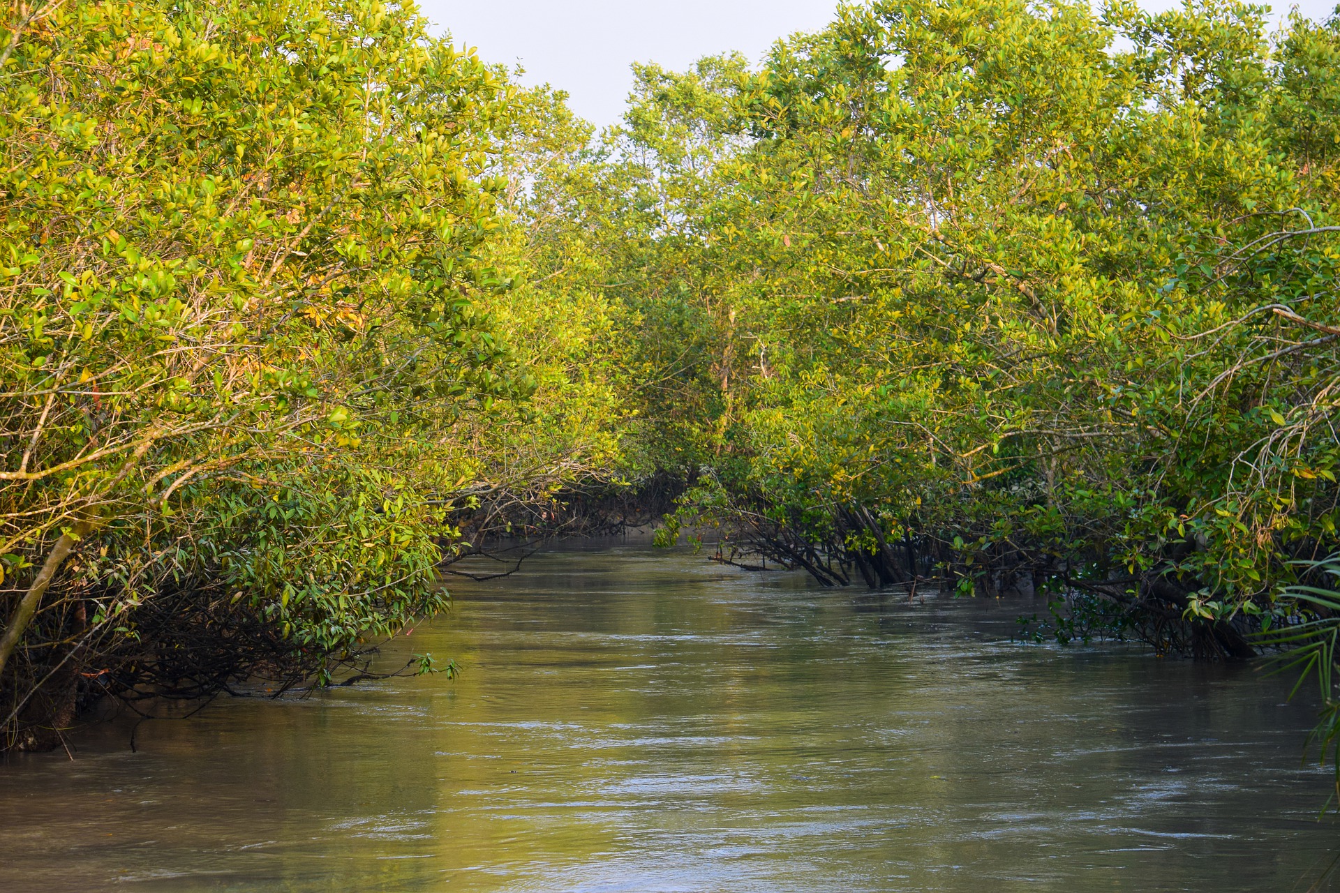 bangladesh-6210118_1920.jpg