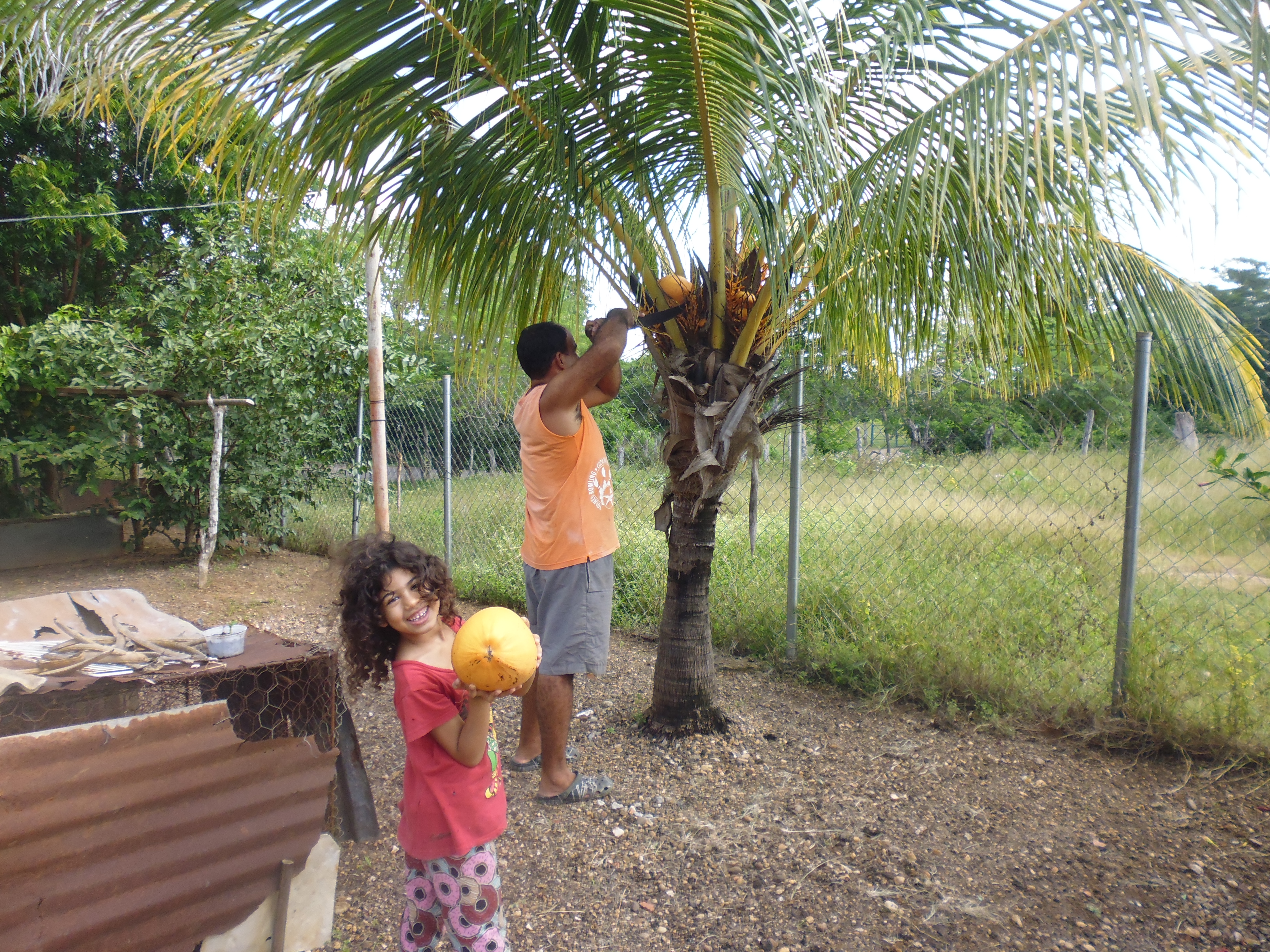 P1010699.JPG