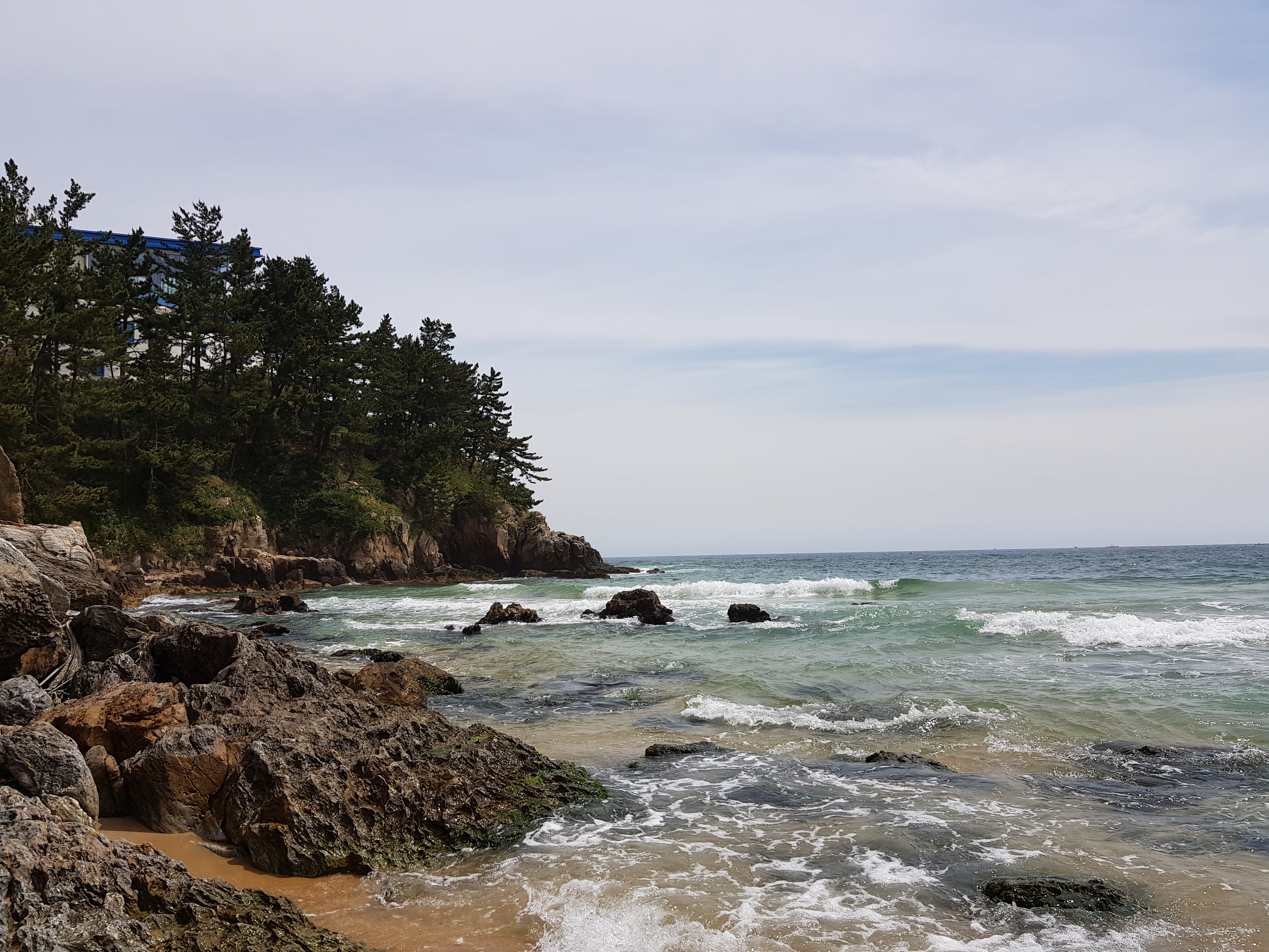 20180617_100849.jpg