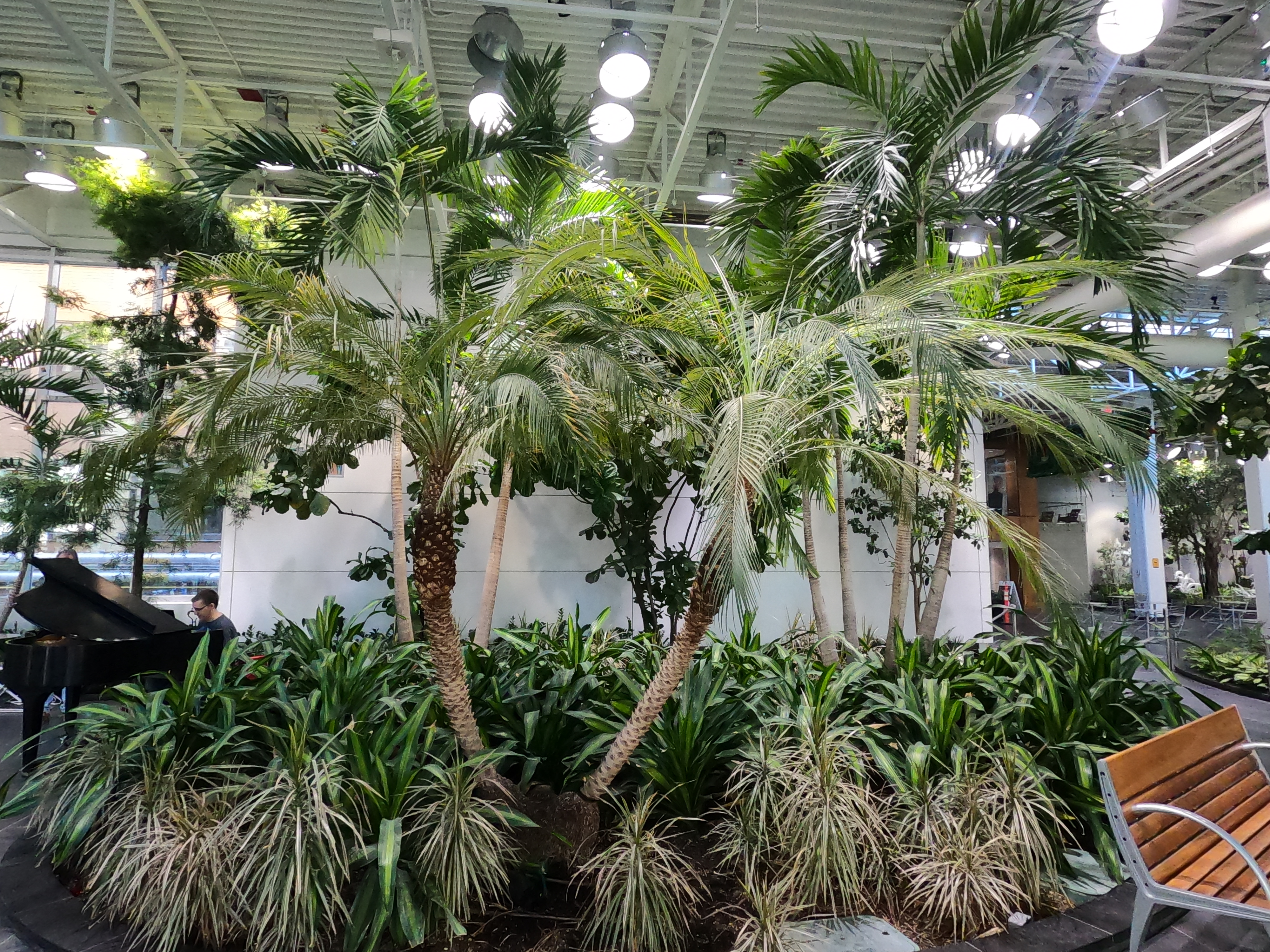GOPR0405.JPG