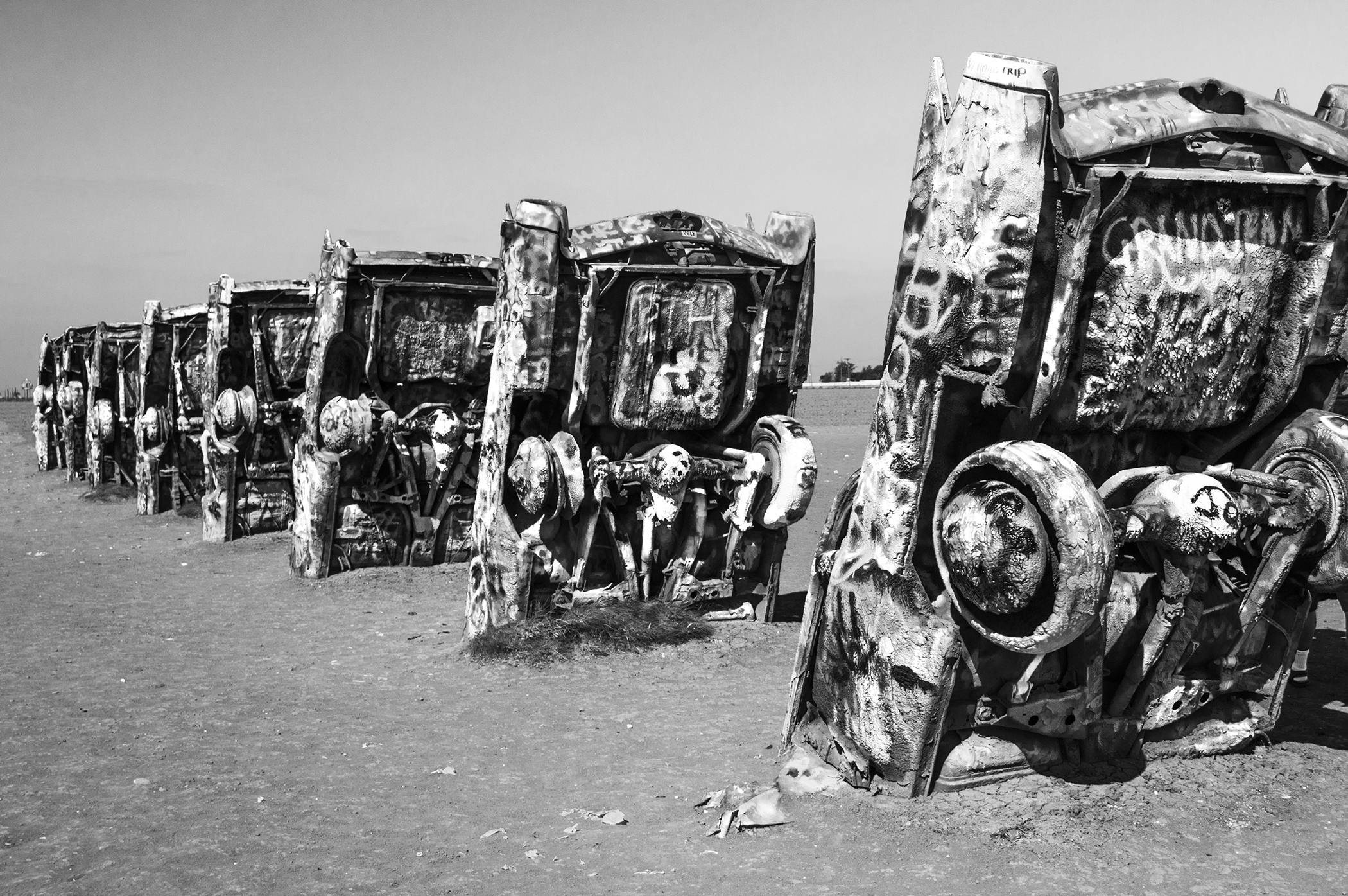 caddyranchbw1.jpg