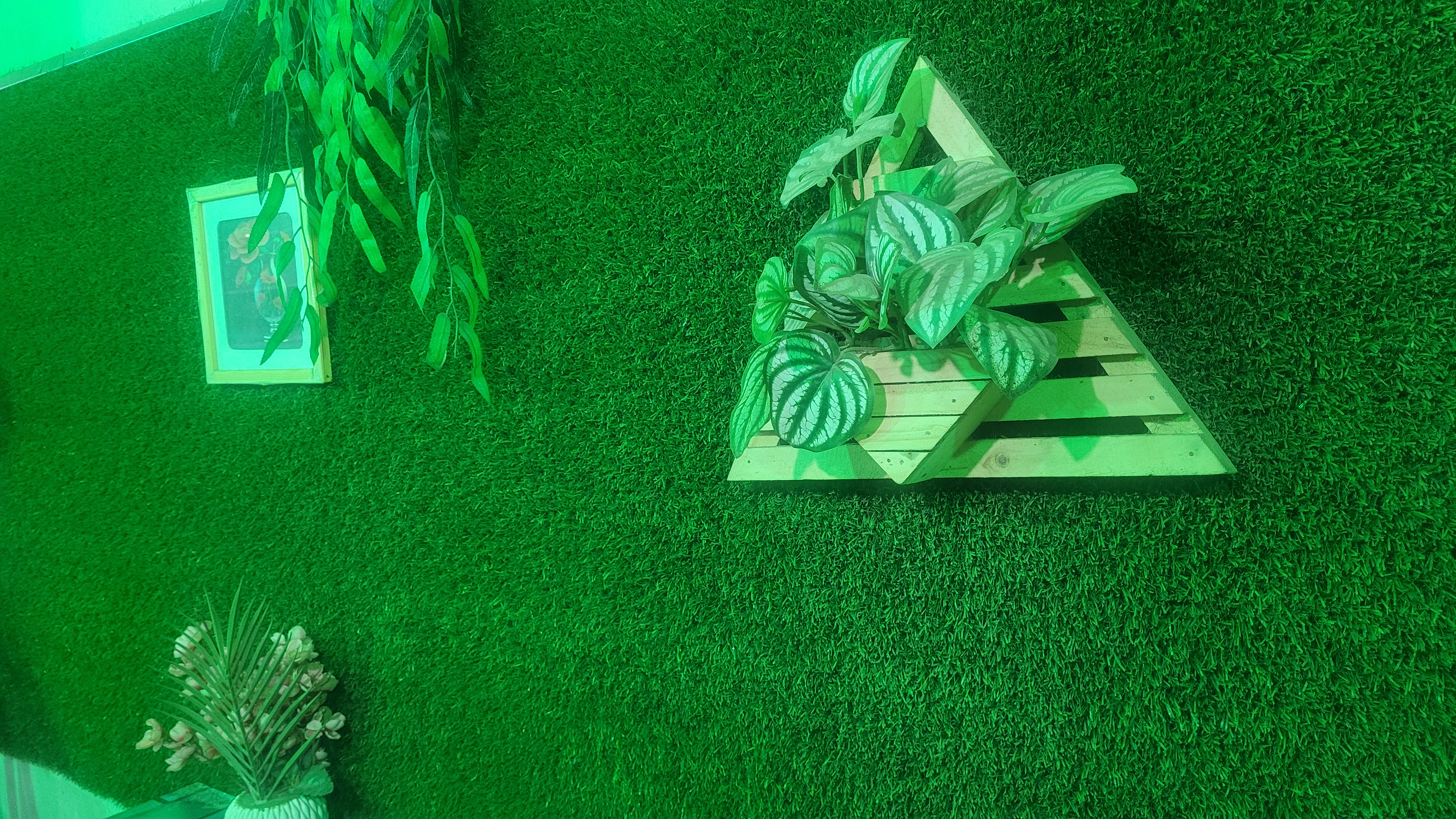 20251108_165822.jpg