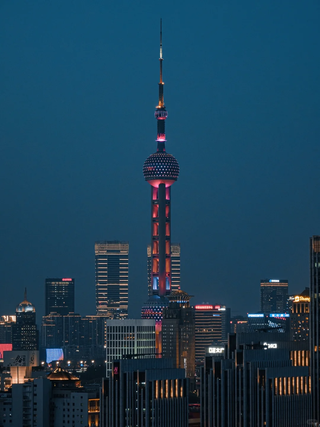 335.webp