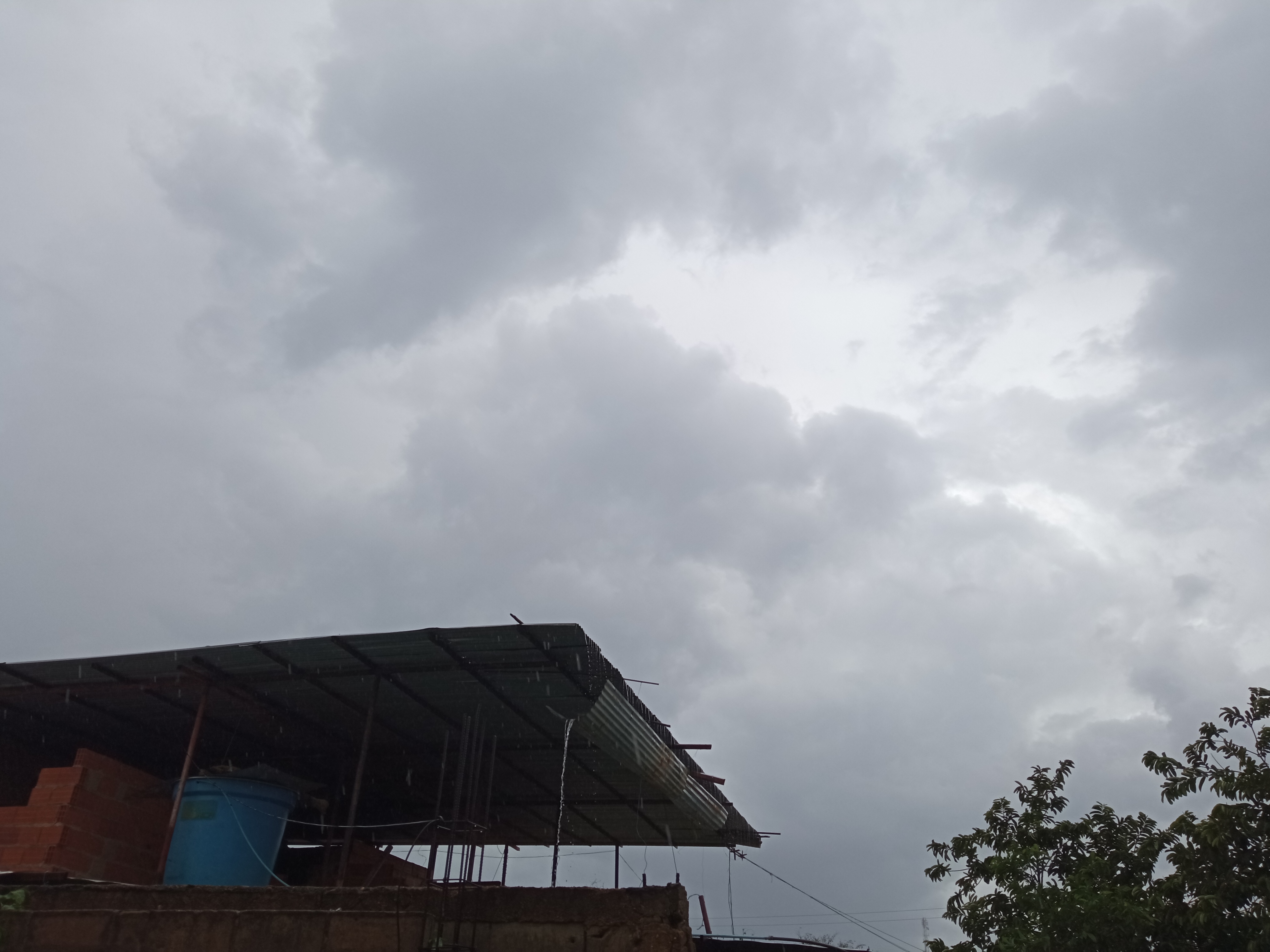 IMG_20210503_142655.jpg