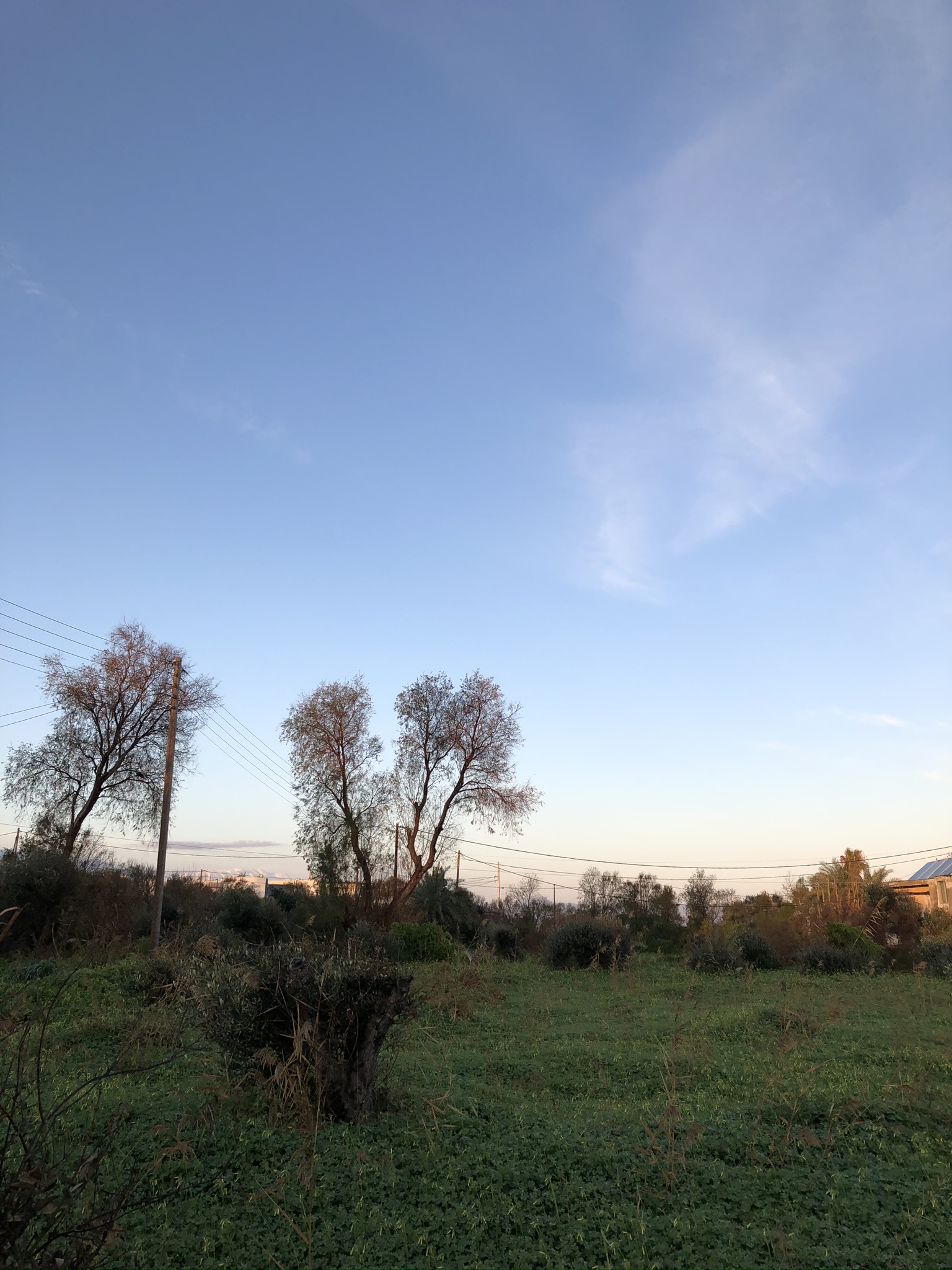 IMG_1195.JPEG