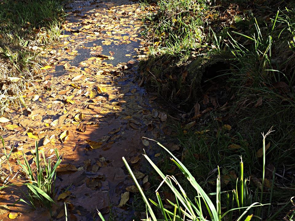 autumn
https://cdn.steemitimages.com/DQmQ7mpGbQPmPex7LTYLBsR5EpUDvfLQj4ya1WKBATNFLLt/autum%20walk3.jp
gFRANCE.
October, 03 /2018
(Photograph original) @steemminder
![