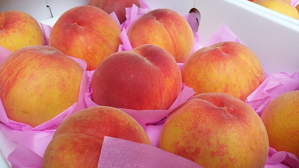 peach-415370__340.jpg