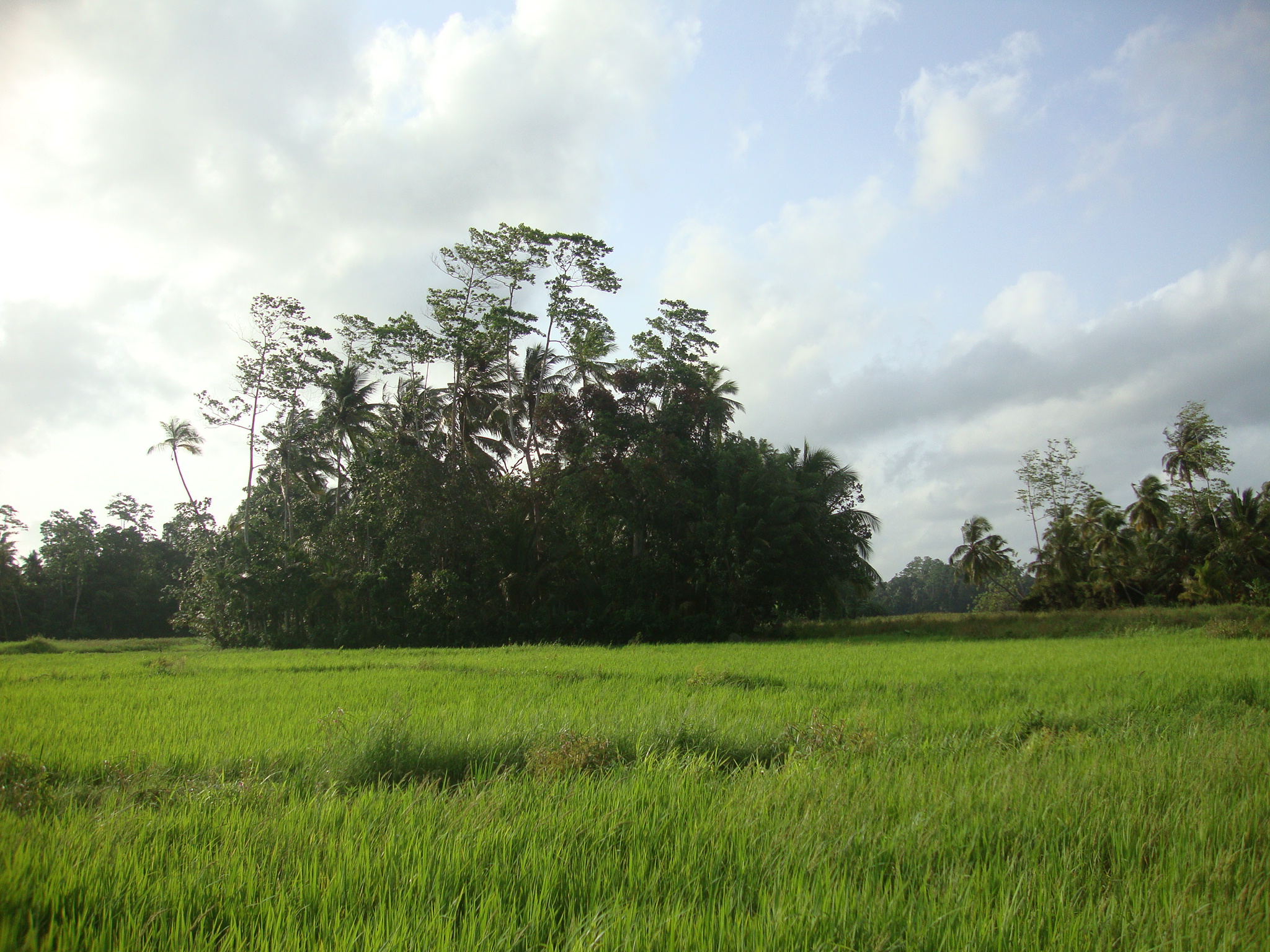 DSC02836.JPG