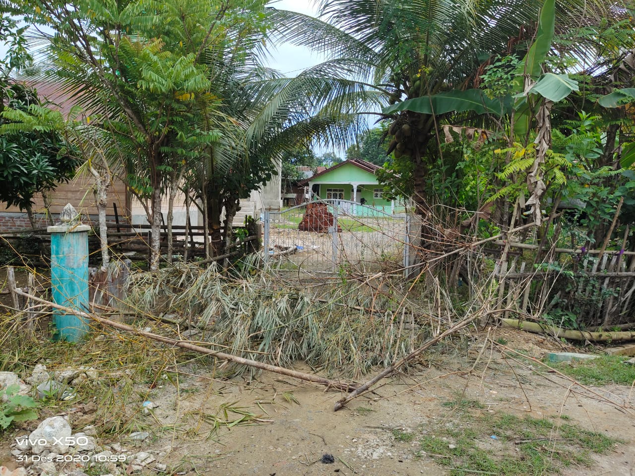 IMG-20201231-WA0011.jpg