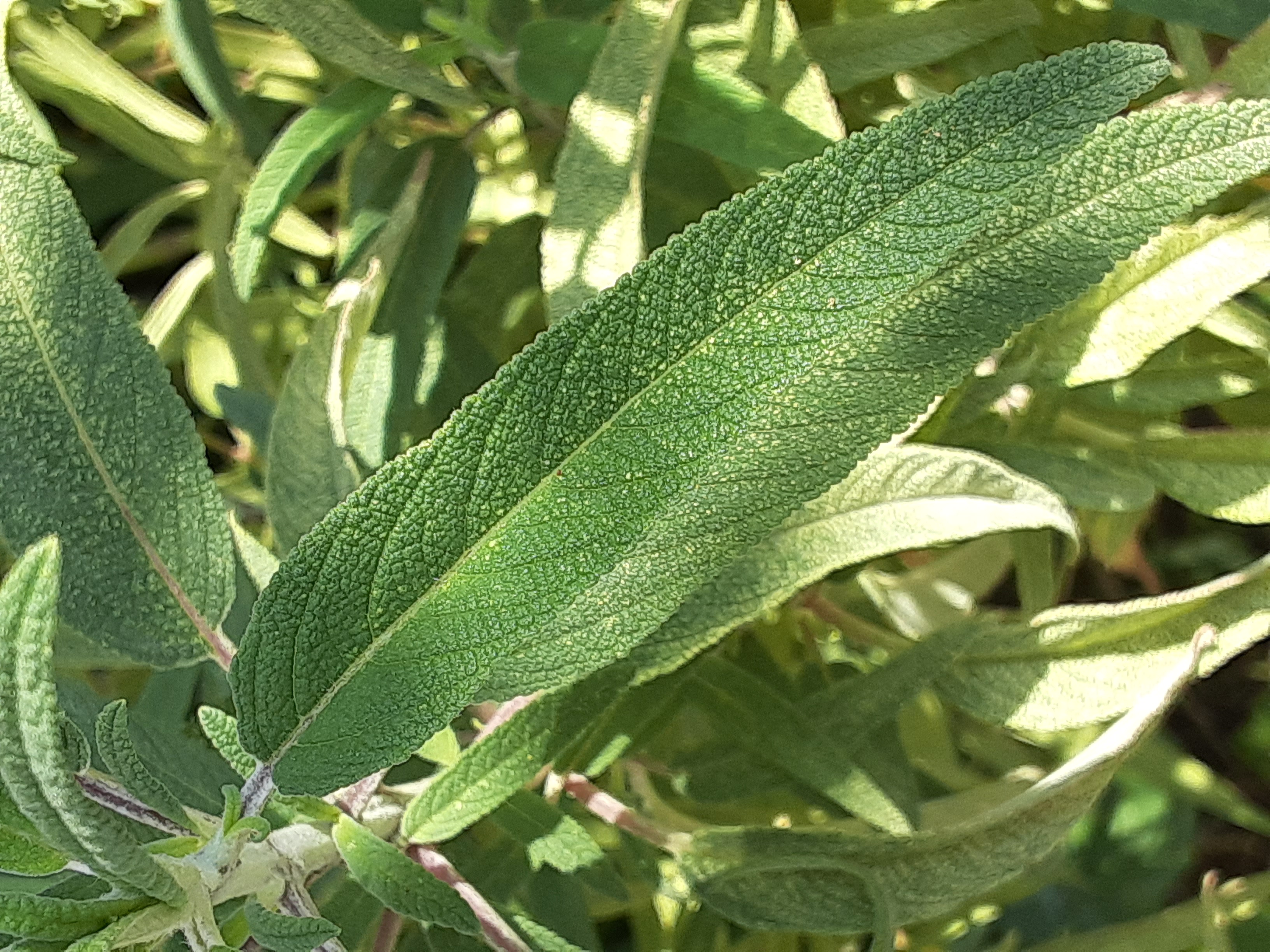 20240907_110927.jpg