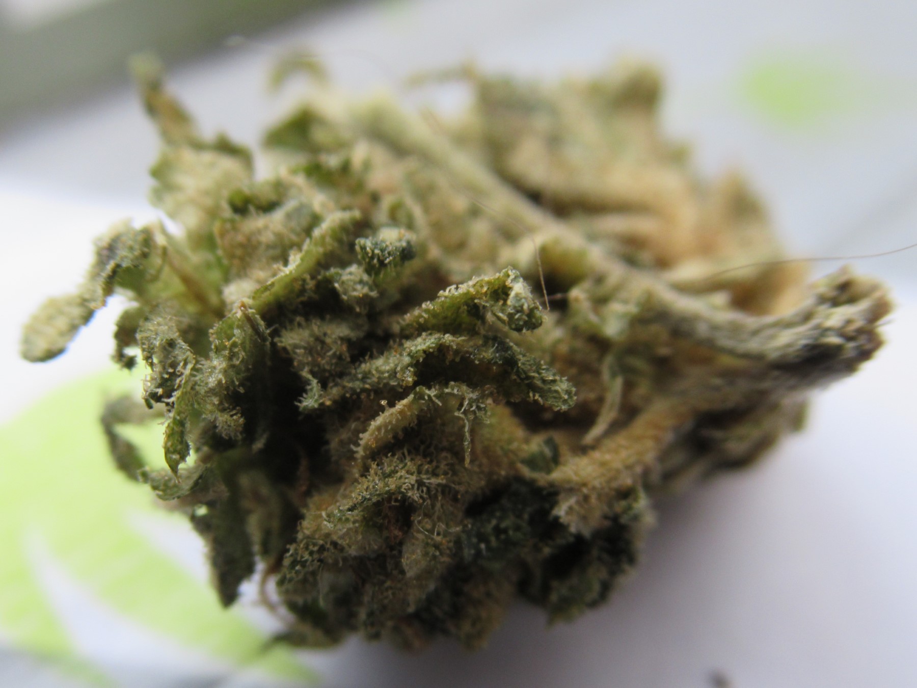 fullnugsideedge.jpg