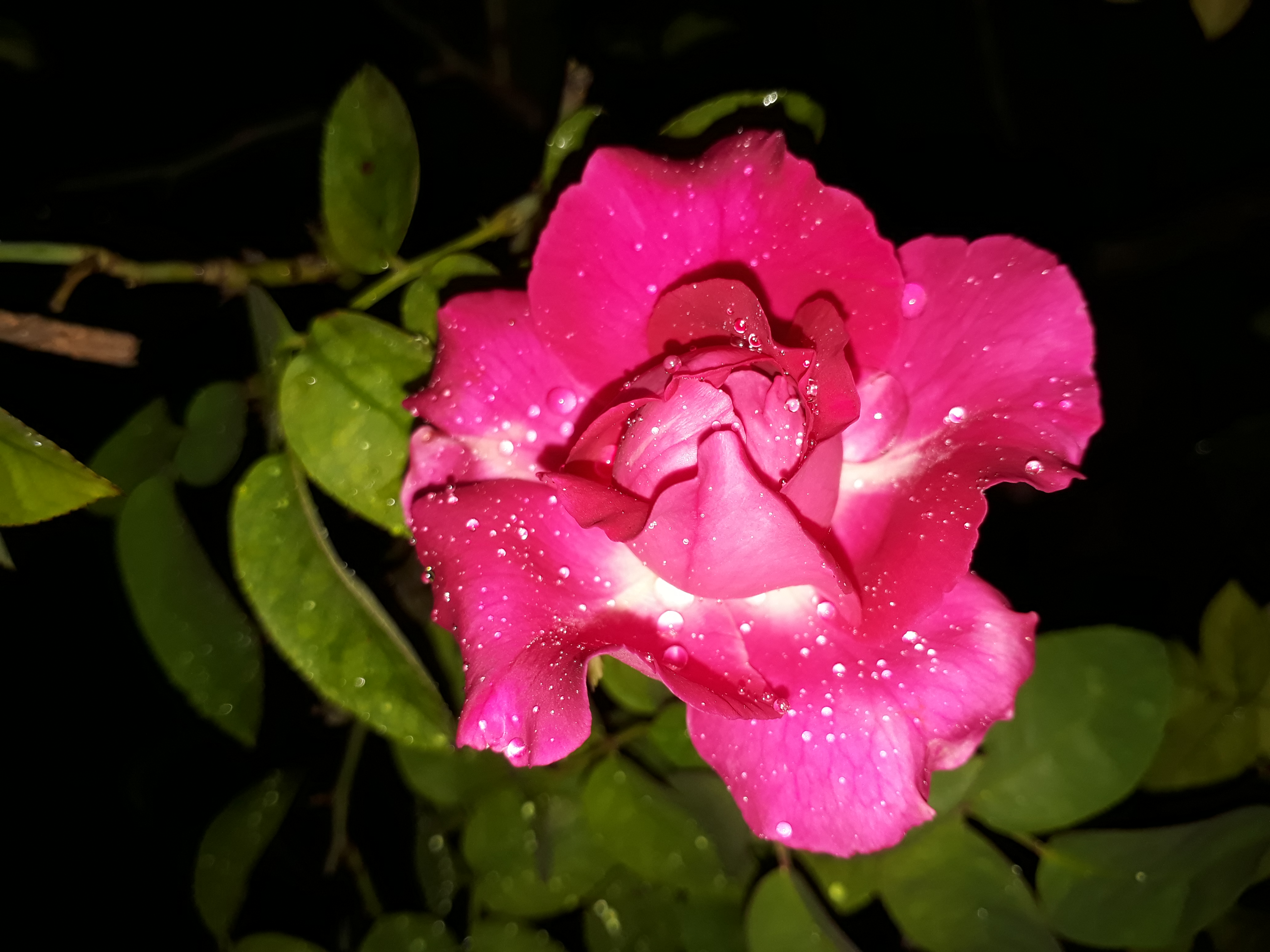 20200831_191051.jpg