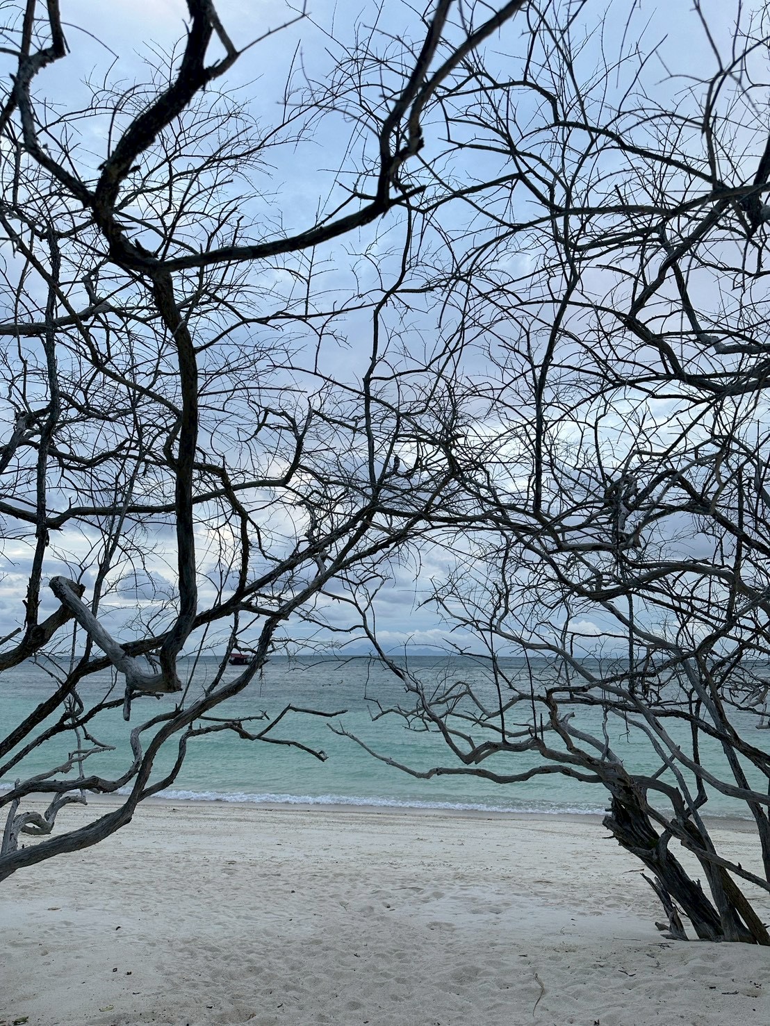 Koh Tao9.jpg