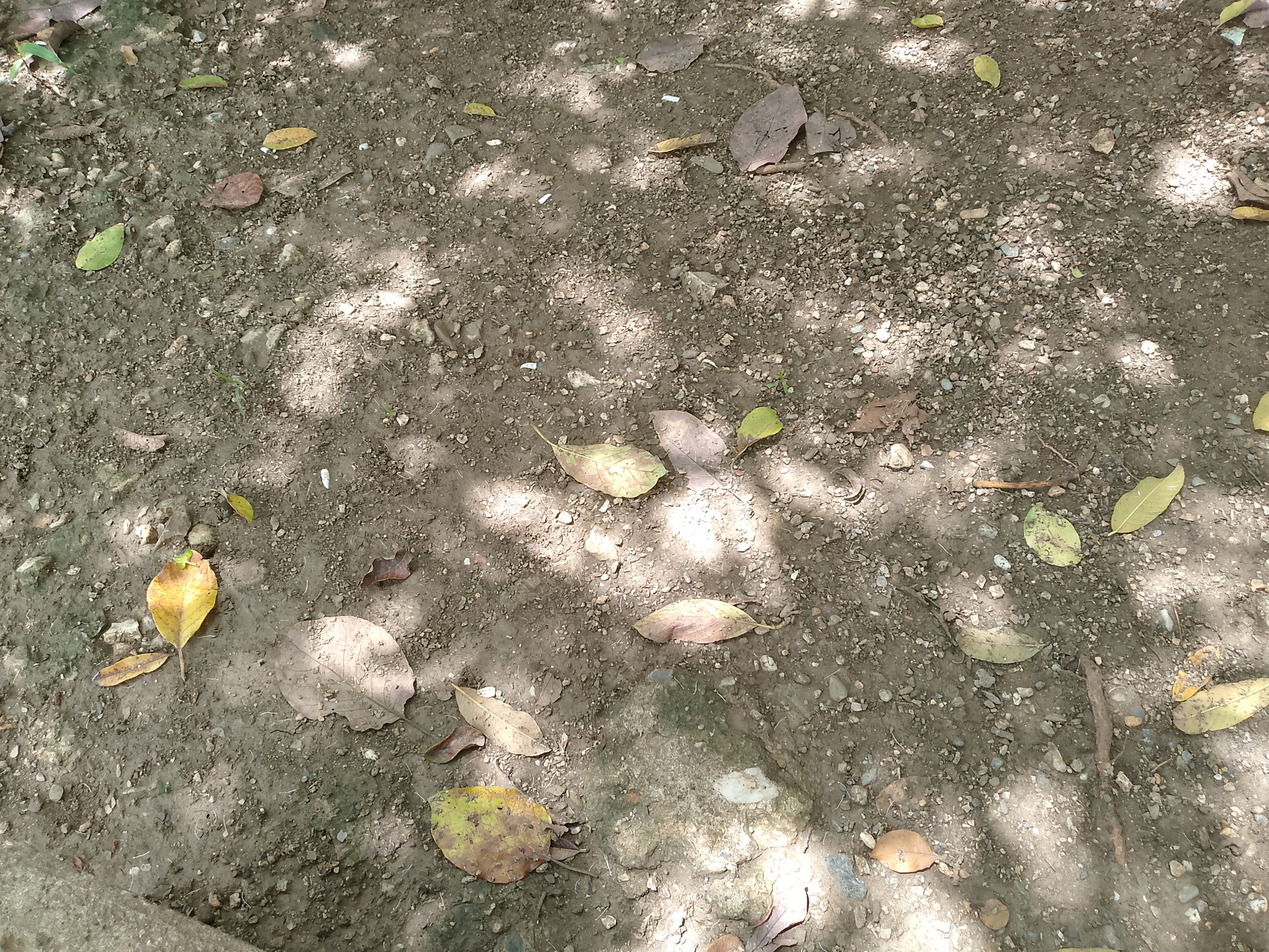 FotoGrid_20260619_130931270.jpg