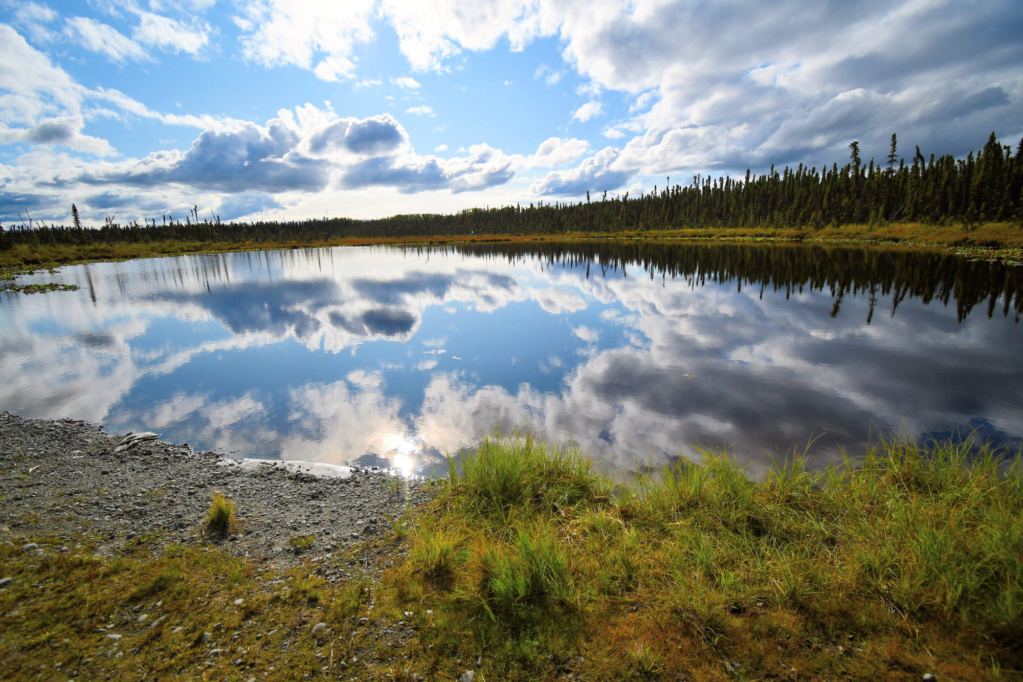 DSC_8115 Last shot of pond.jpg