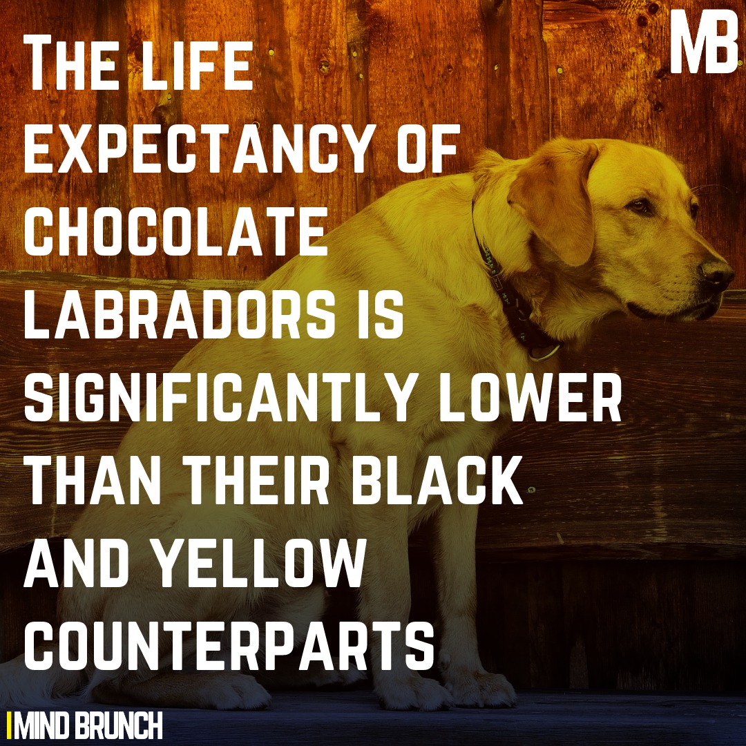 MB3.jpeg