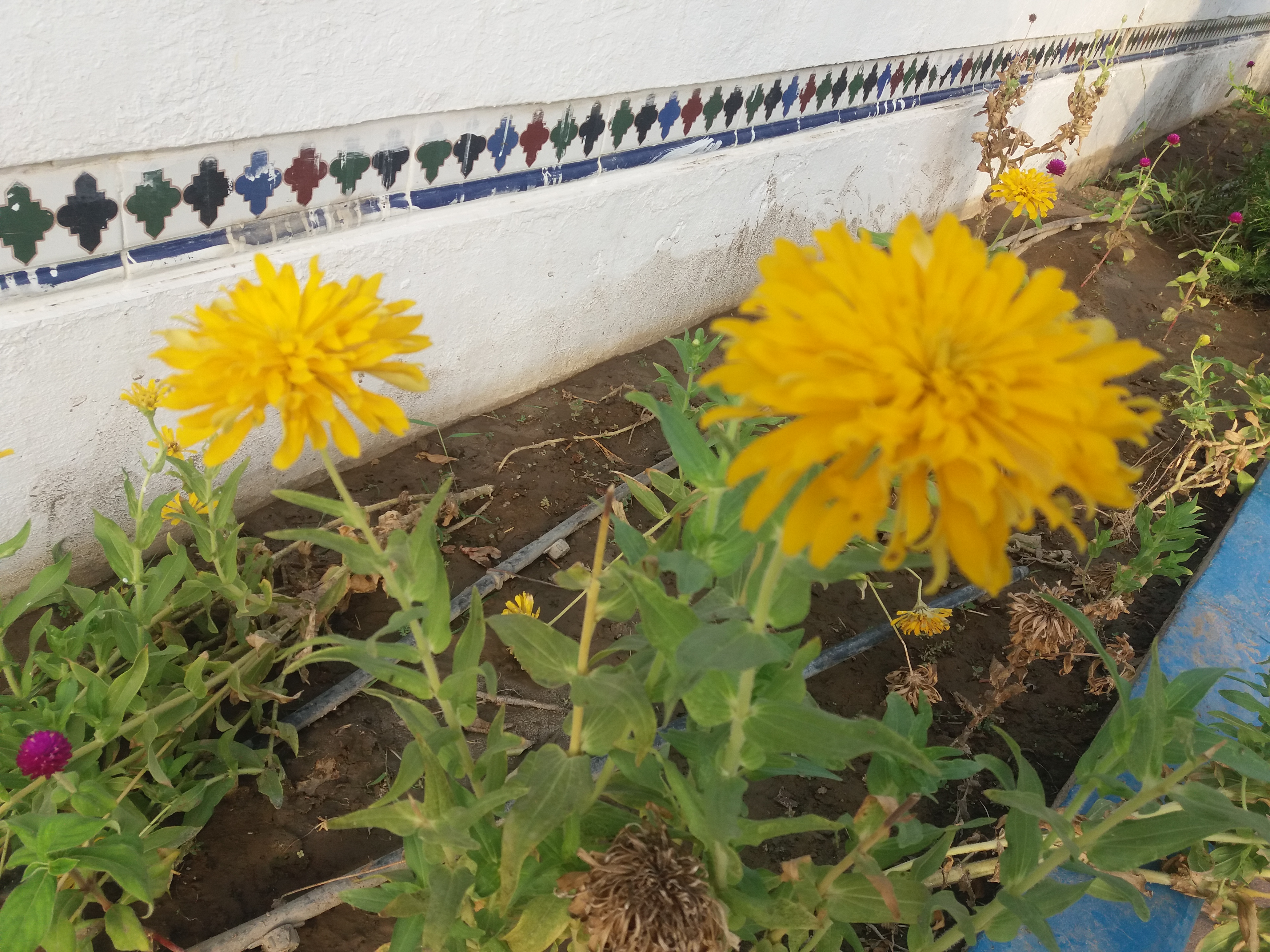 20190814_175136.jpg