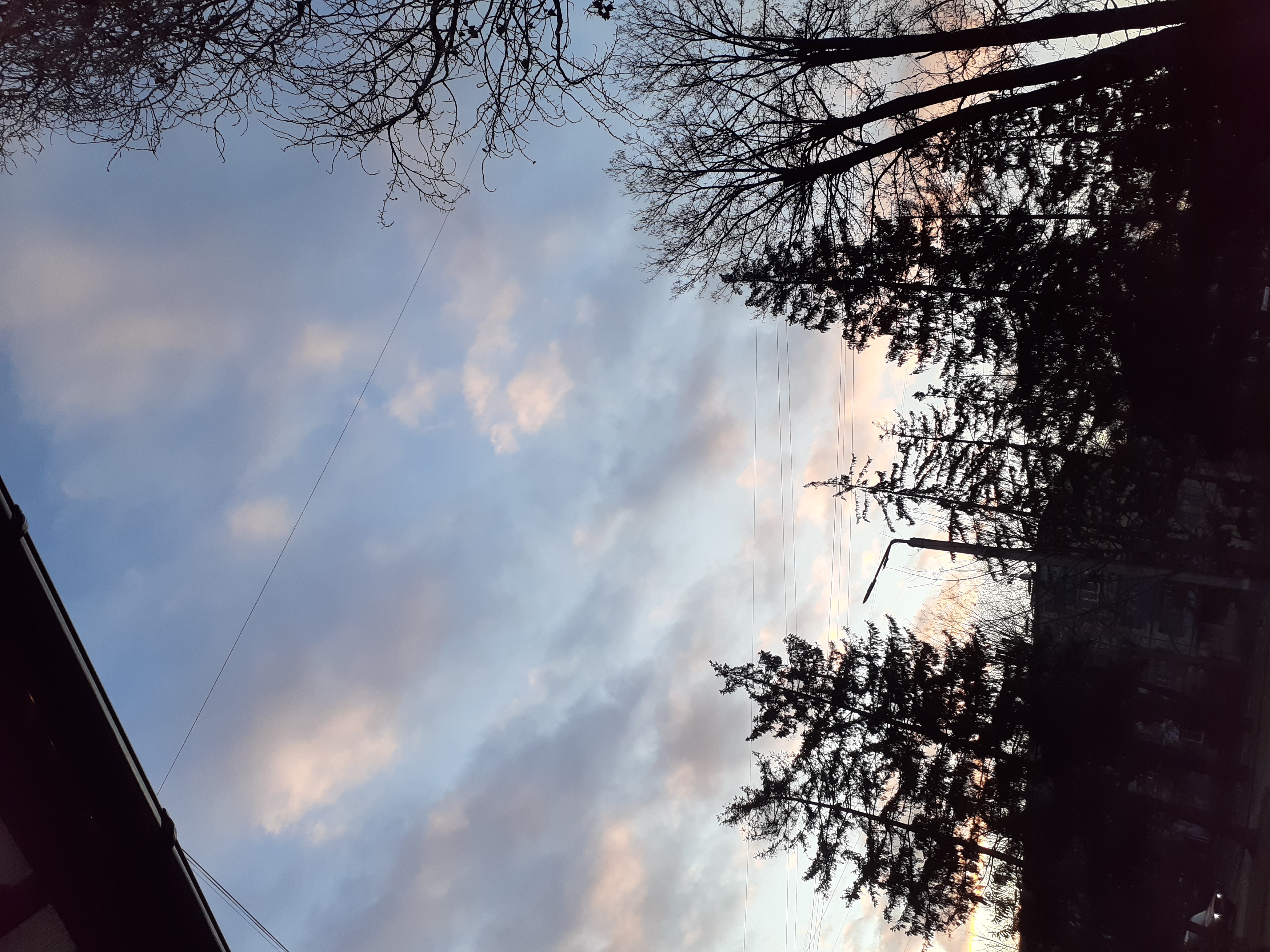20250204_072125.jpg