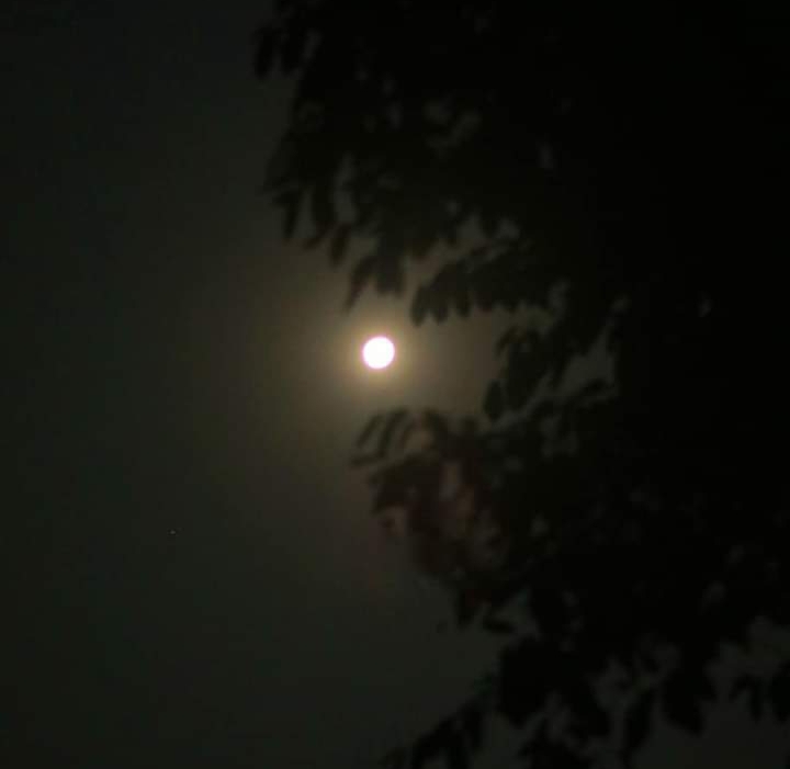 IMG_20220726_111505.jpg