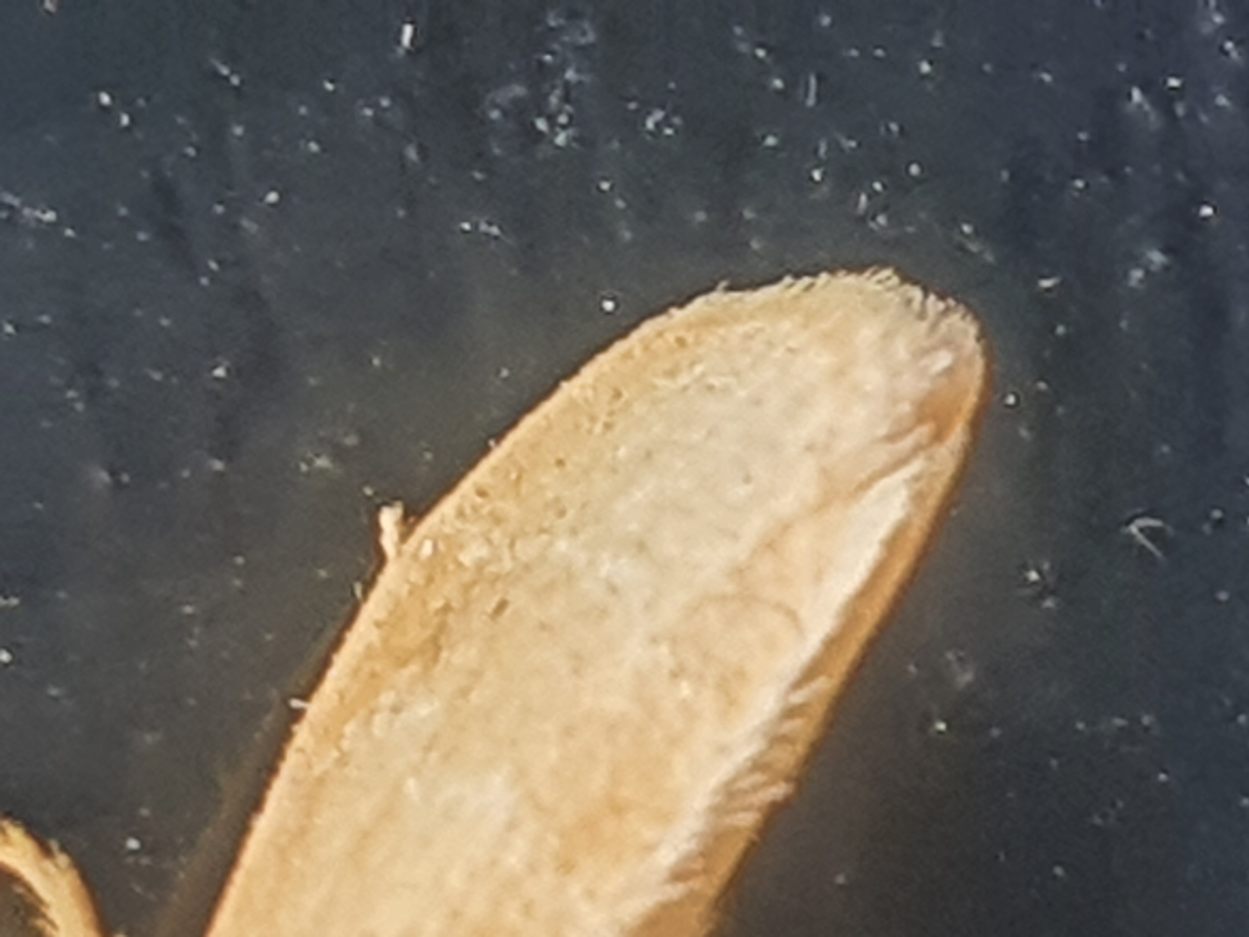 20260219_122729.jpg