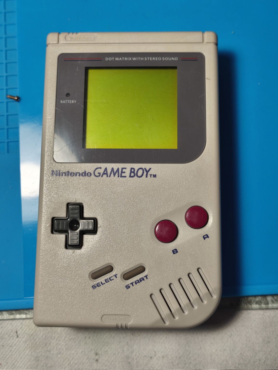1000076246.jpg