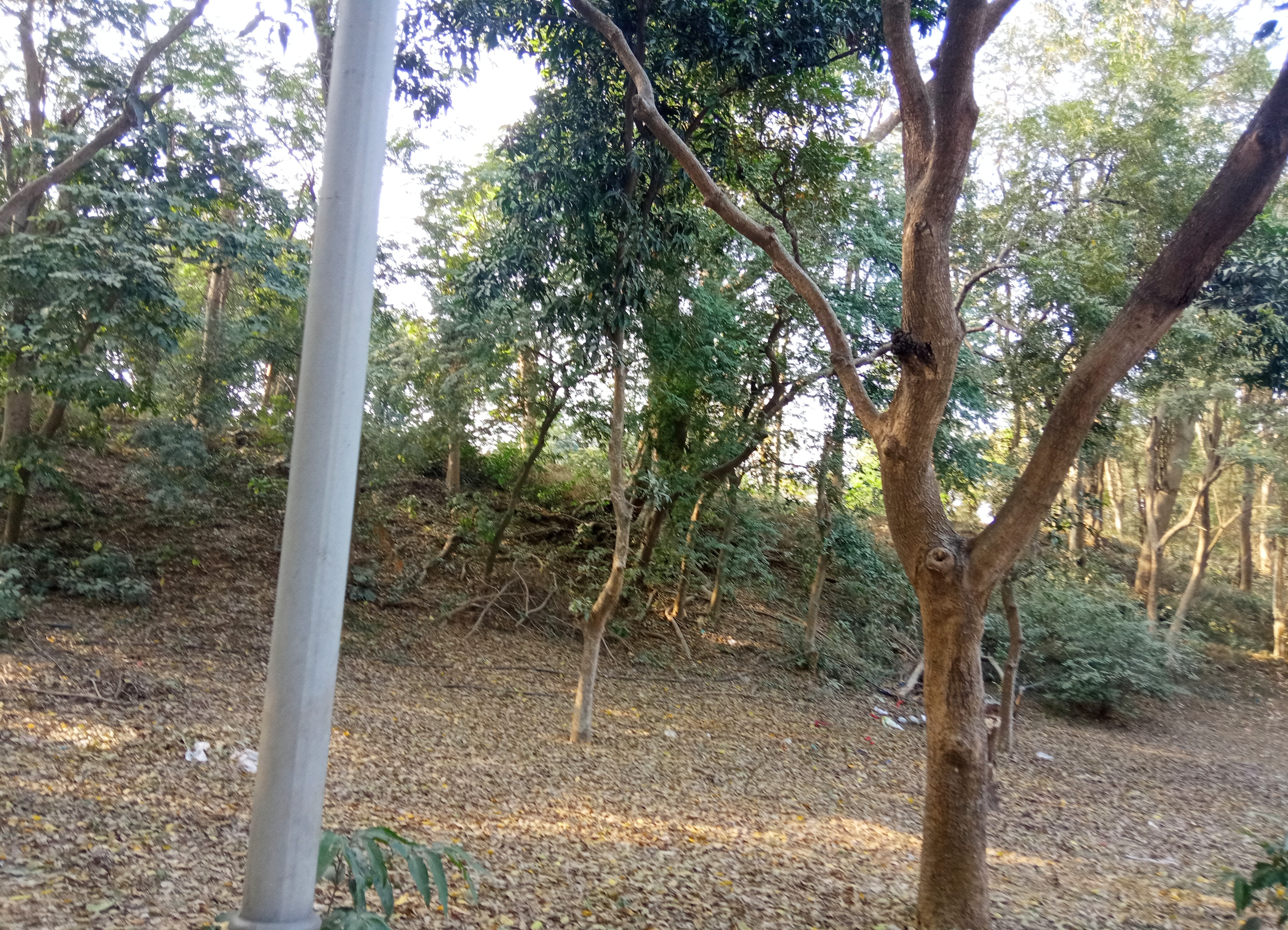 IMG_20250328_020913.jpg