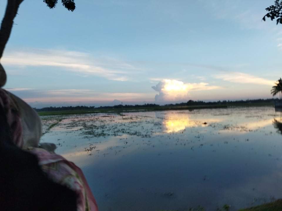 received_355223686141176.jpeg