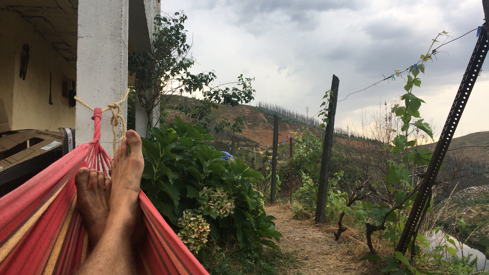 hammock.jpg