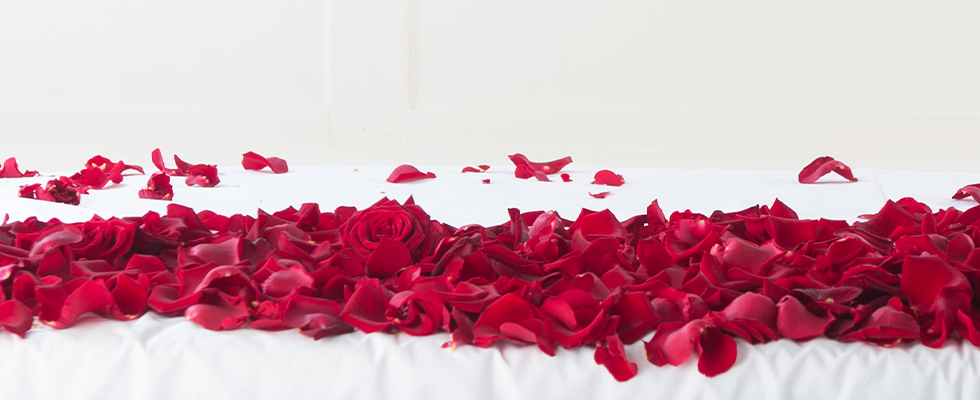 rose-petals.png