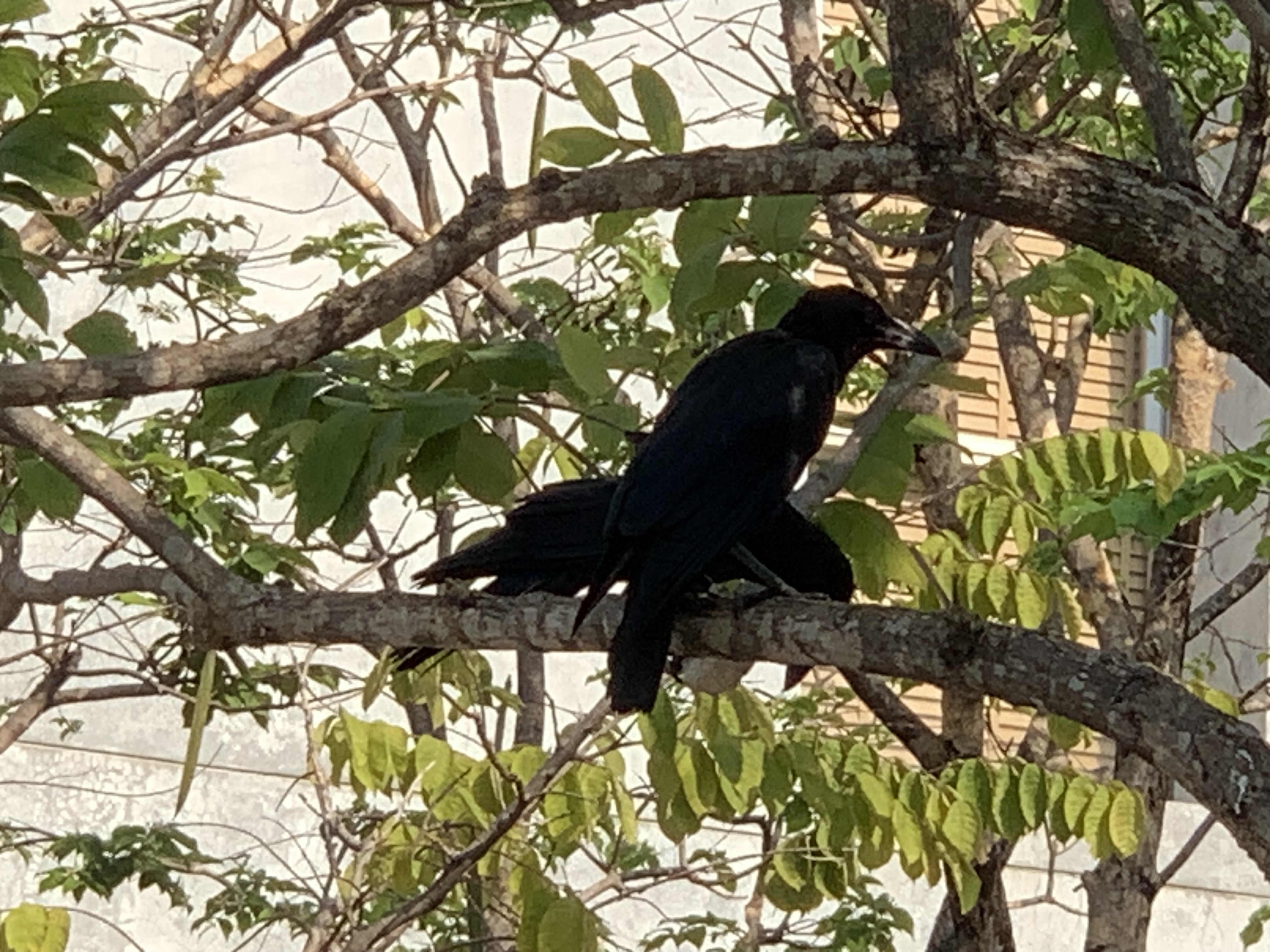 birdwatching spots34.jpg