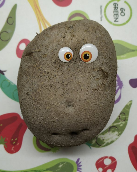 O Pequeno Potatinho! by @tellurian