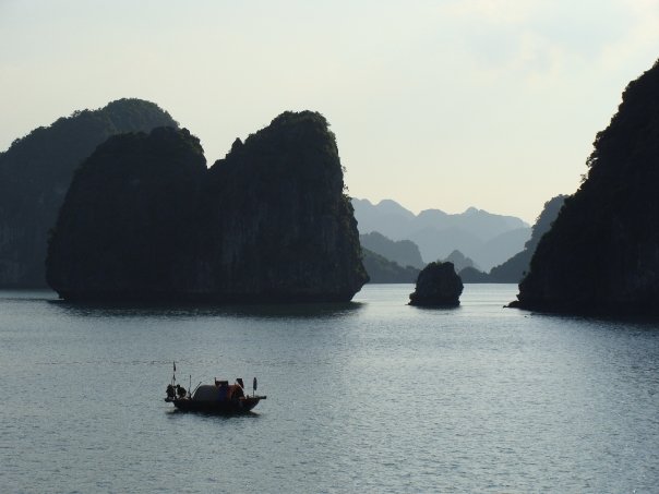 10401044_83170900530_3591_n (1).jpg